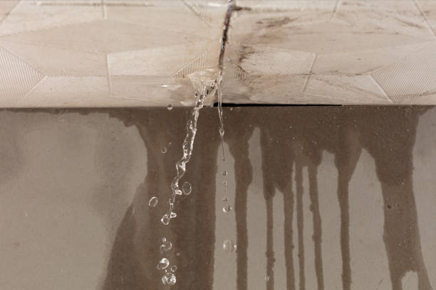 Professional Structural Drying technician working in Elmore, OH